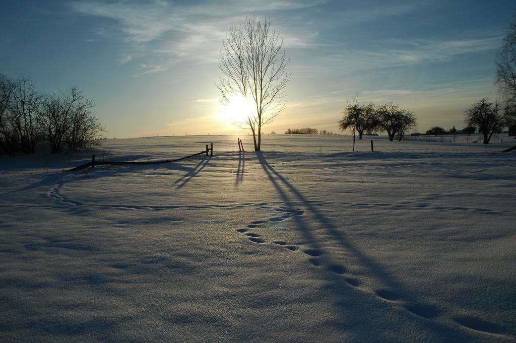 Przystanek Rospuda Vila Sucha Wies Exterior foto